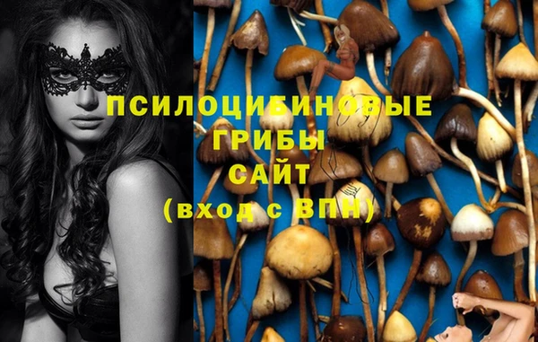 эйфоретик Заводоуковск