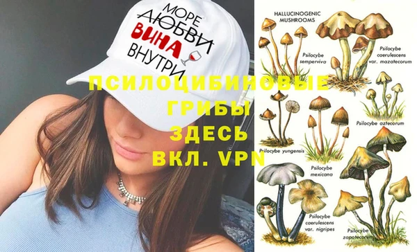 эйфоретик Заводоуковск