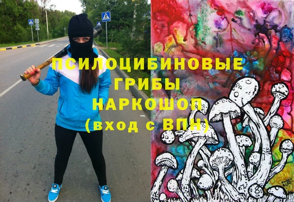 эйфоретик Заводоуковск