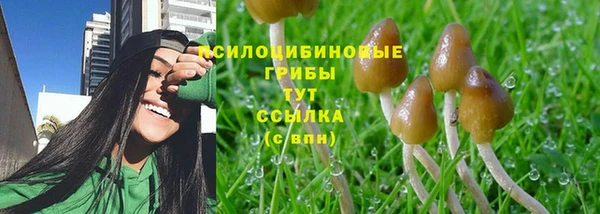 скорость Заволжье